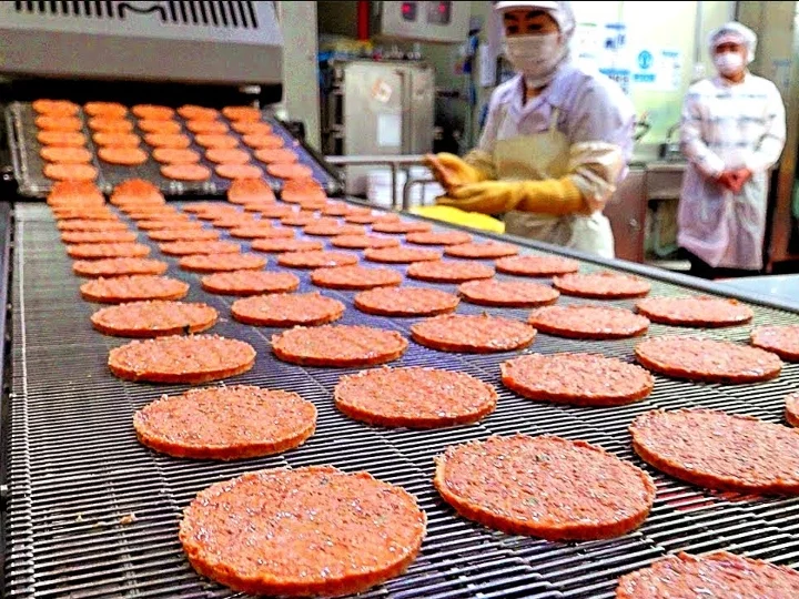 Burger patty production factory