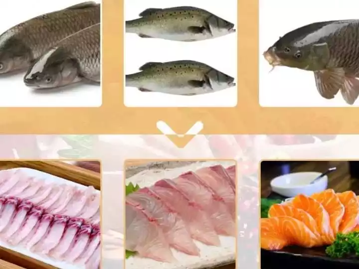 Slicing effect of the fish filleter machine