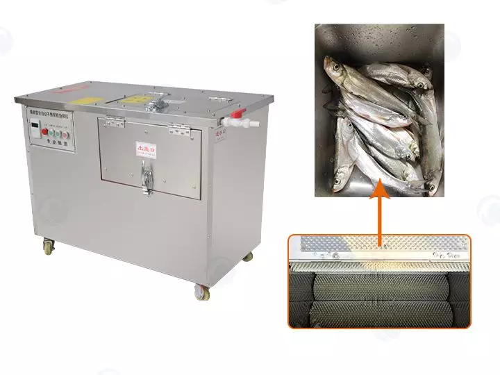 Automatic fish descaling machine