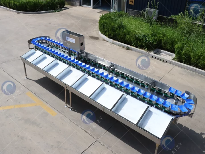 鸡爪重量分级机