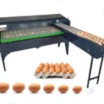 egg grader