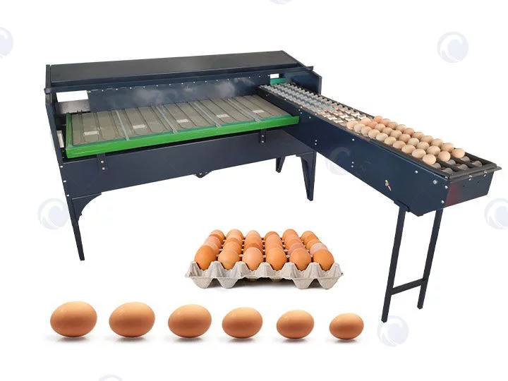 Small Egg Grading Machine for Sale