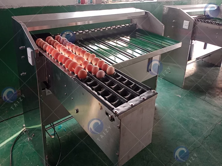 Egg Grader Machine | Efficient Egg Grading System 10 Egg grading machine price