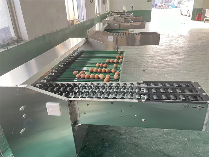 Egg sorting machine price