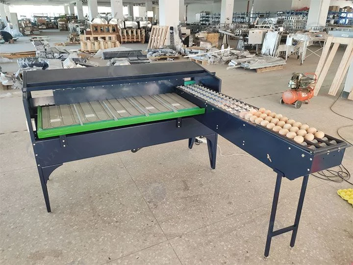 hot sale egg grading equipment