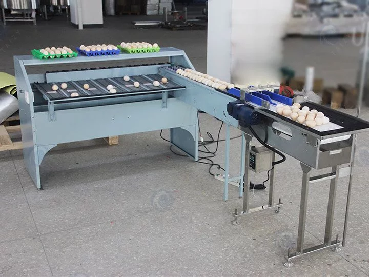 small scale egg grading machine