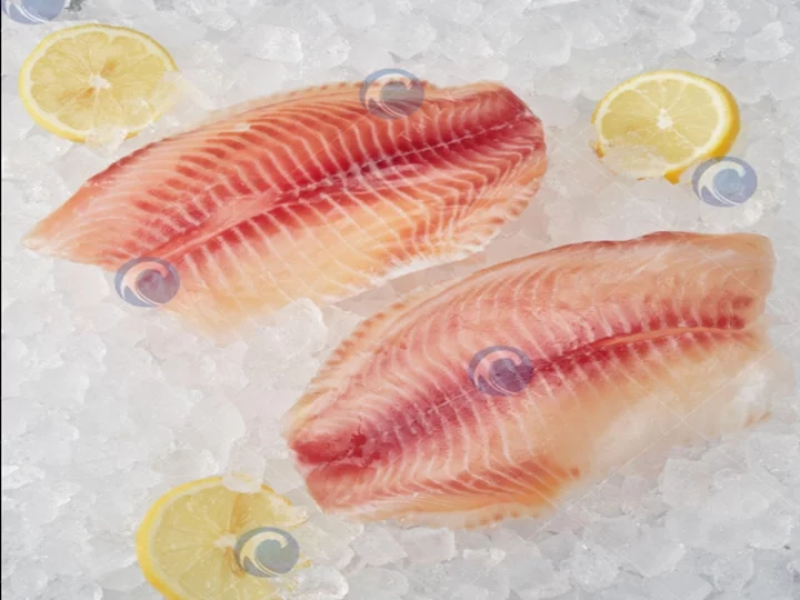 商业鱼片机 3 Fish fillet