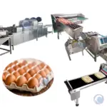 Производственная линия для очистки яиц