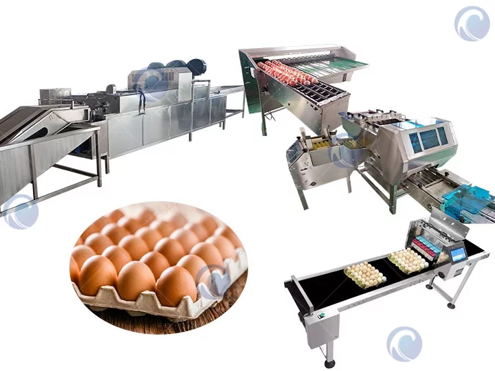 Производственная линия для очистки яиц