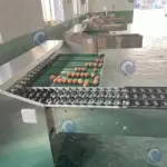 машина для сортировки яиц