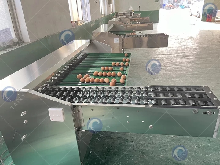 машина для сортировки яиц