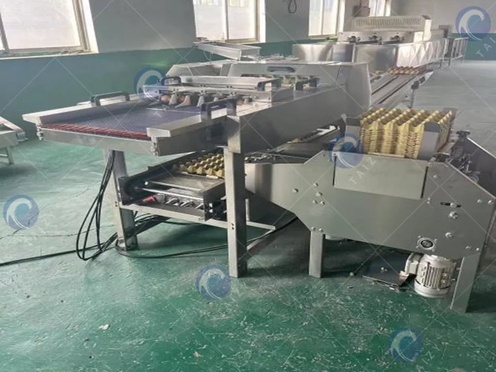 Машина для печати на яйцах