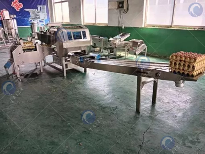 Машина для загрузки яиц