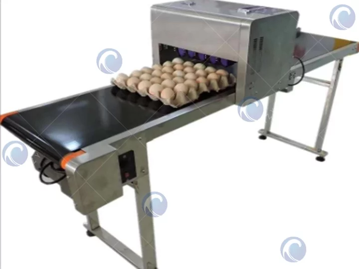 Дезинфектор для яиц