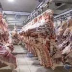 beef meat