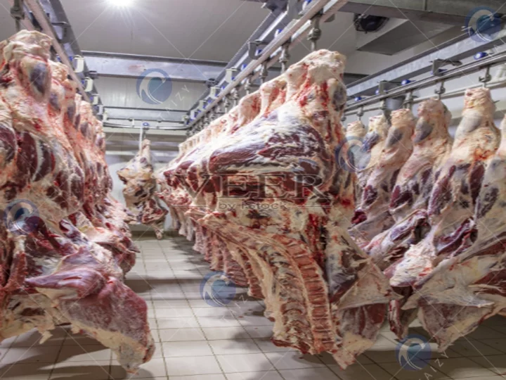 Frozen Meat Slicing Machine 1 Beef meat