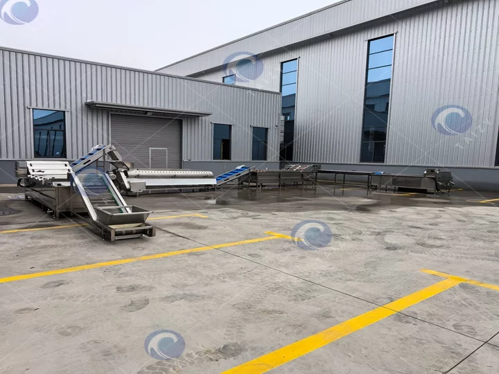 Automatic chicken feet processing line supplier