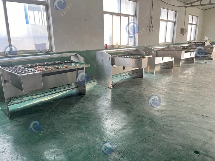 Egg Grading Machine Delivered To North Macedonia 4 Tamiseur d'œufs