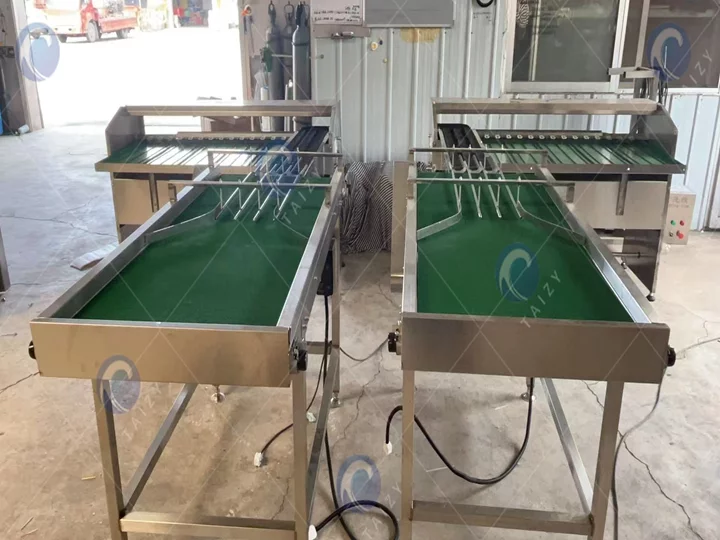 Egg Grading Machine Delivered To North Macedonia 5 Machine de tri des œufs