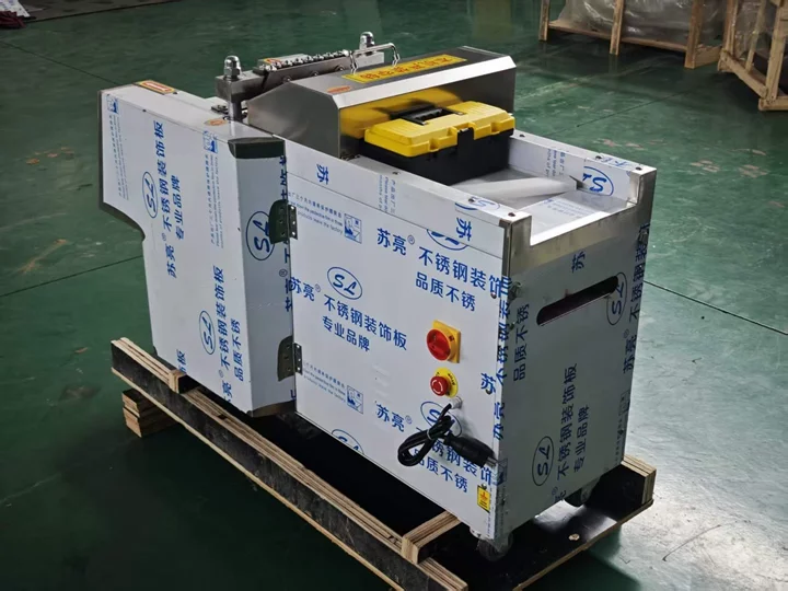 Meat Cube Cutting Machine Shipped To Vietnam 1 Meat cube cutting machine supplier