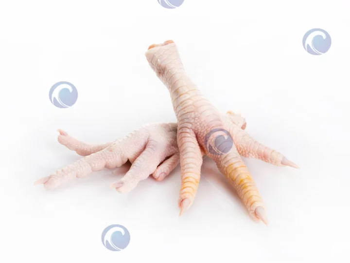Chicken Feet Cutter 2 أرجل الدجاج