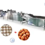 Egg washing machine
