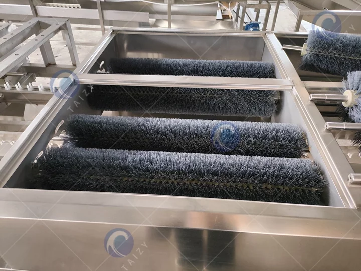 Egg Washing Machine 11 Egg washing machine supplier