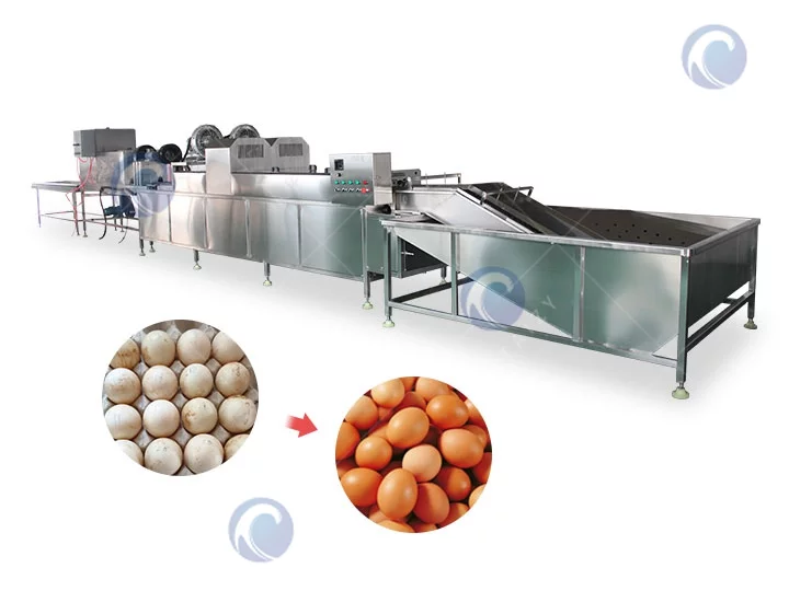 Egg washing machine