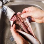 Fish Innards