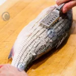 Fish Scaling Process
