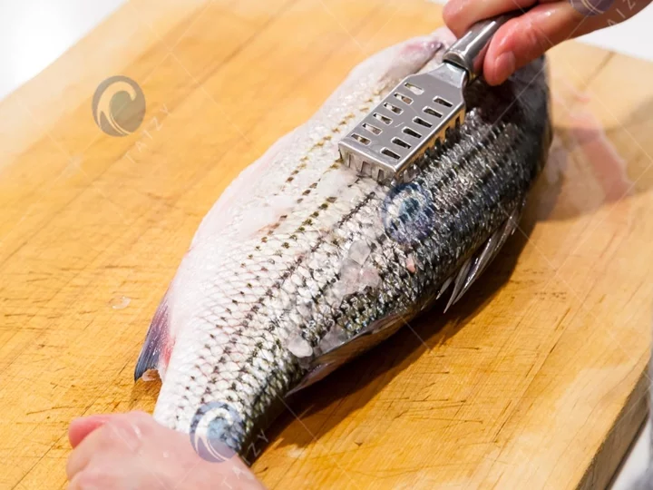 Fish Scaling Process