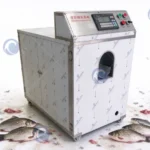 Fish Scaling and Gutting Machine