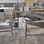 chicken egg washing machine