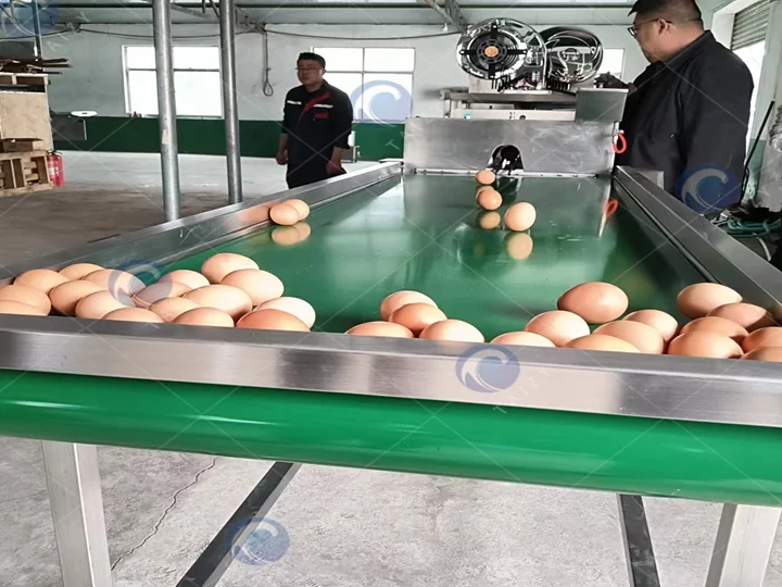 Egg Washing Machine 8 Egg washing machine with air dryer